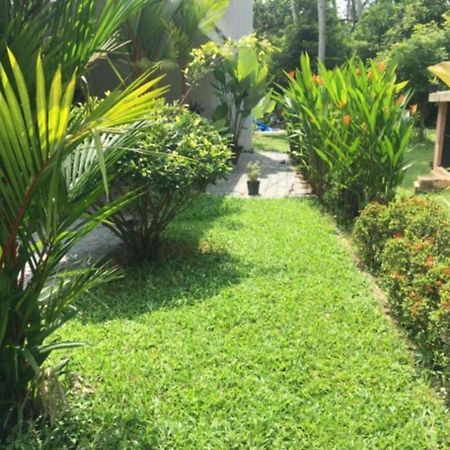 White Butterfly - A Countryside Homestay 特里凡得琅 外观 照片