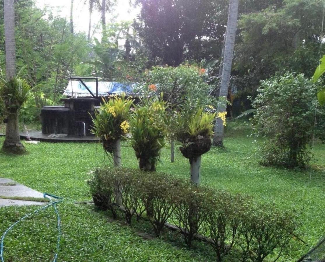 White Butterfly - A Countryside Homestay 特里凡得琅 外观 照片