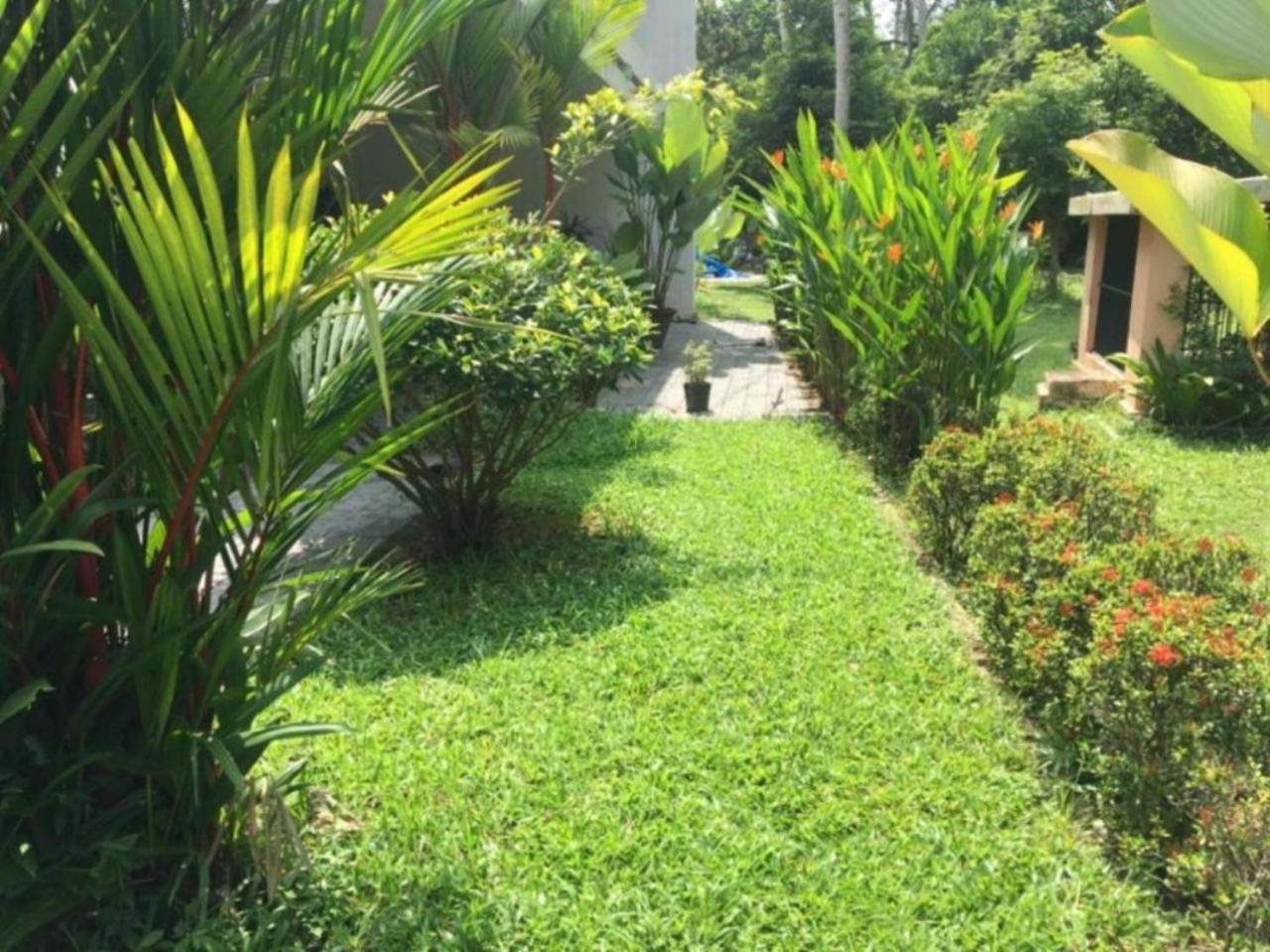 White Butterfly - A Countryside Homestay 特里凡得琅 外观 照片